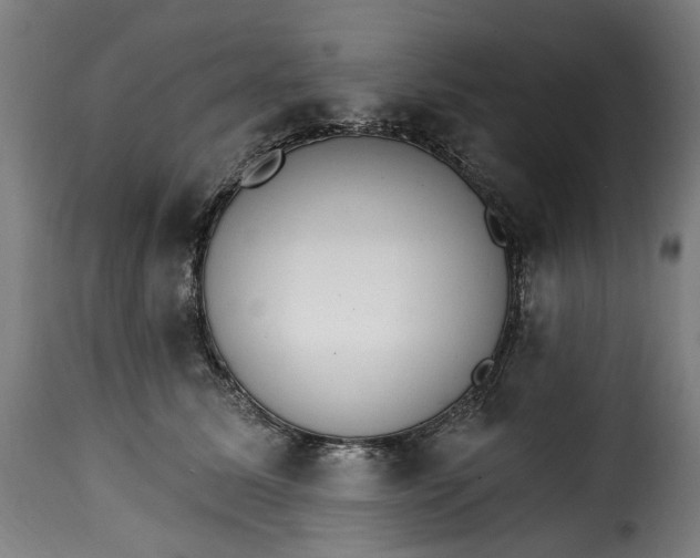 X0000115650611200911241736