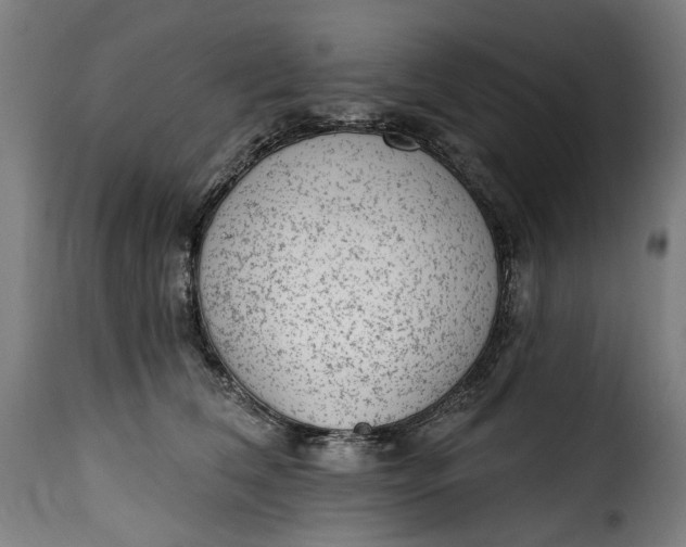 X0000115650612200911241736