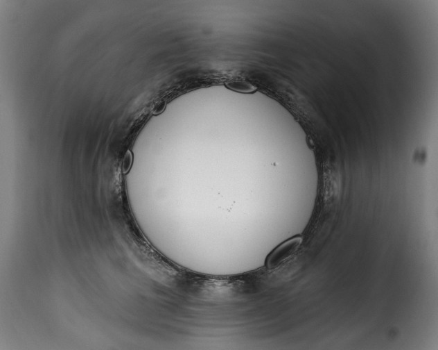 X0000115650613200911241735