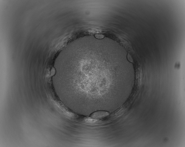 X0000115650614200911241735