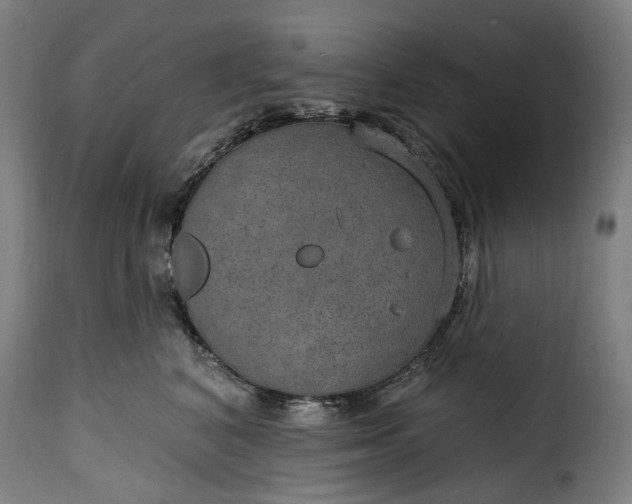 X0000115650616200911241735