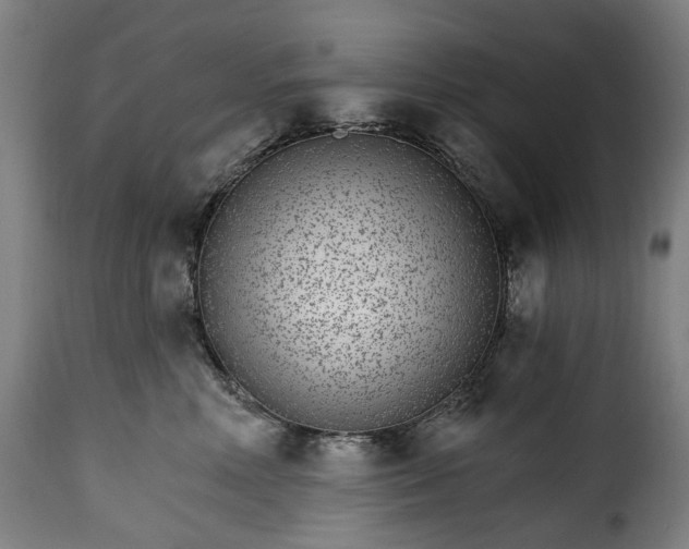 X0000115650618200911241735