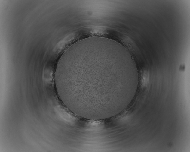 X0000115650619200911241735