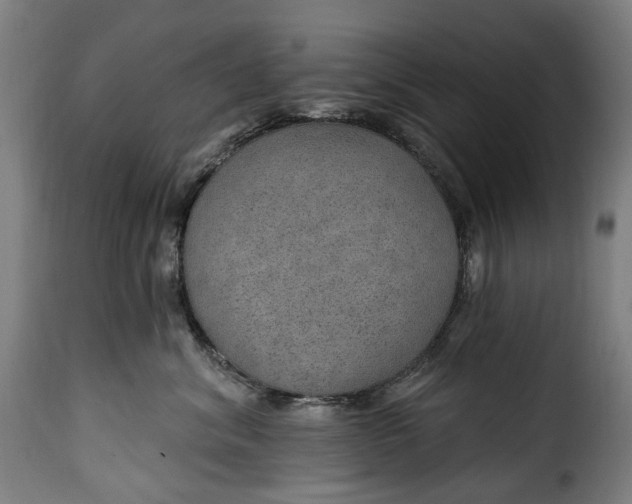 X0000115650620200911241735