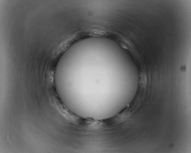 X0000115650621200911241735