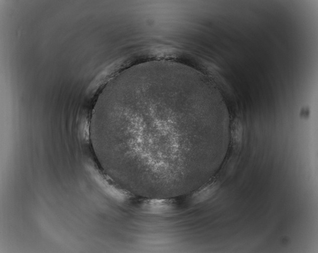 X0000115650622200911241735