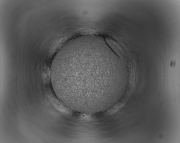 X0000115650624200911241735