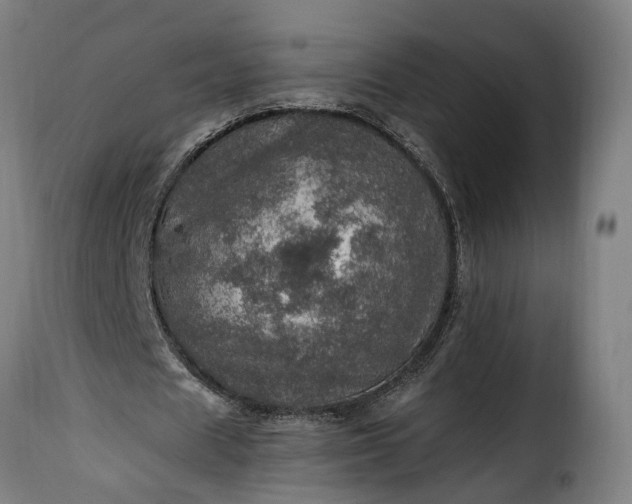 X0000115650625200911241735