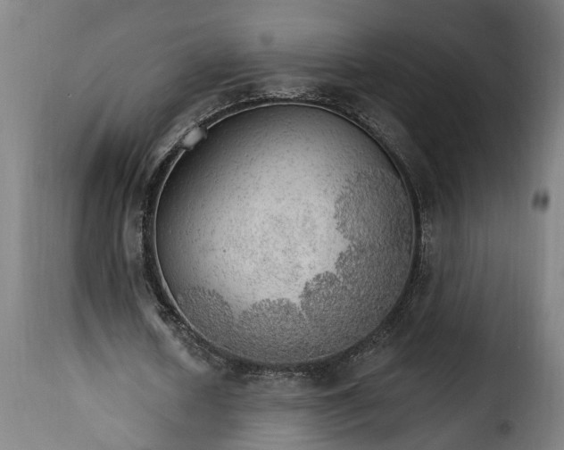 X0000115650626200911241735