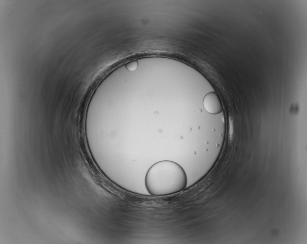 X0000115650627200911241735