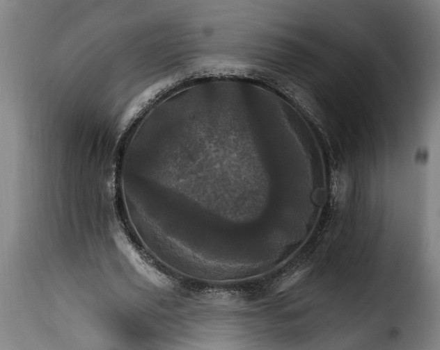 X0000115650629200911241735