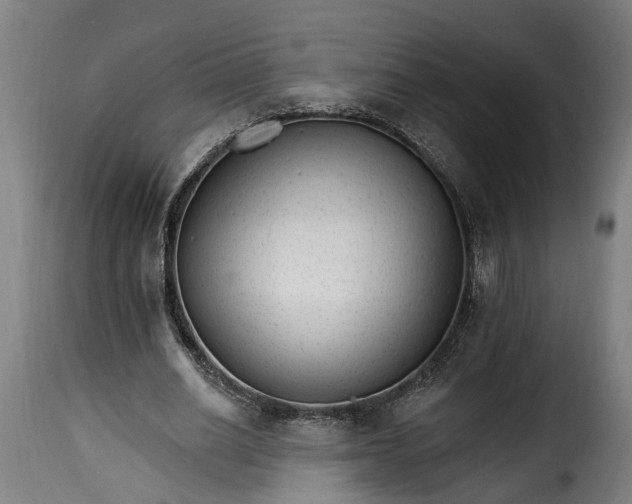 X0000115650630200911241735