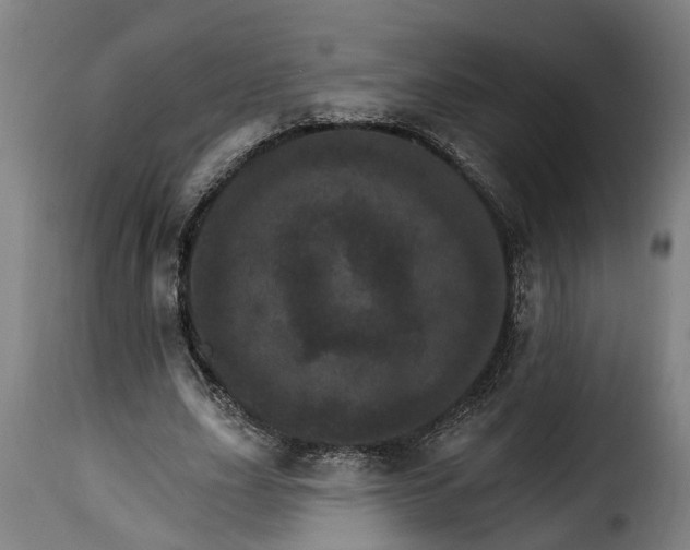 X0000115650631200911241735