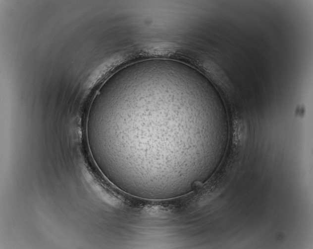 X0000115650634200911241735