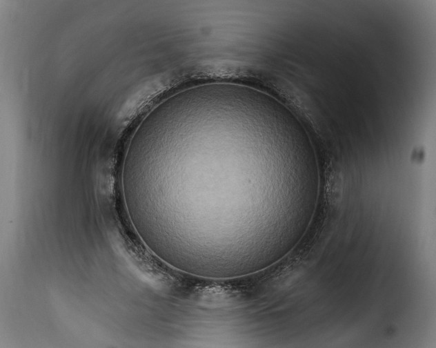 X0000115650635200911241735