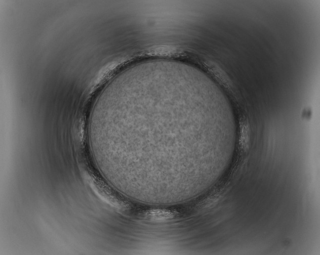 X0000115650636200911241735