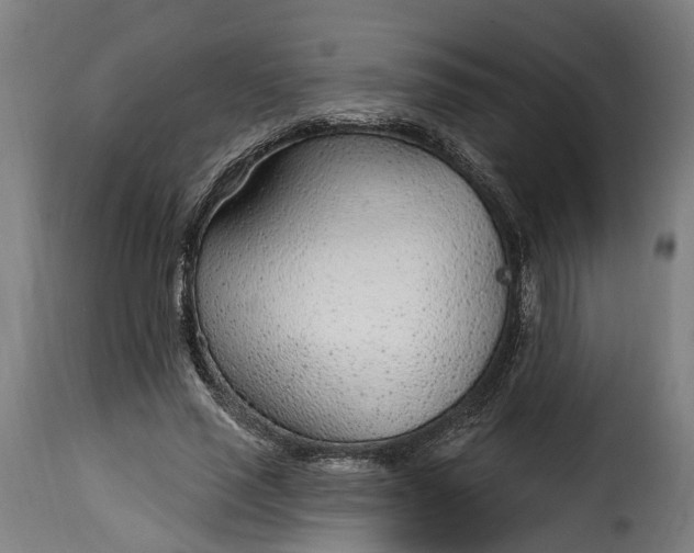 X0000115650637200911241735