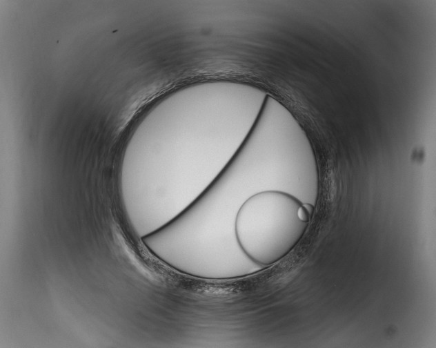 X0000115650638200911241735