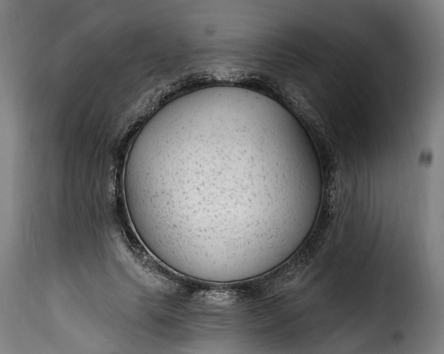 X0000115650639200911241735