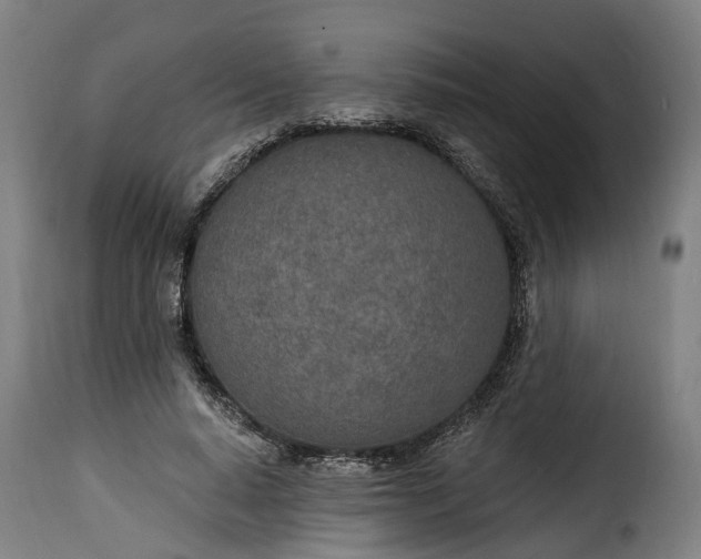 X0000115650640200911241735