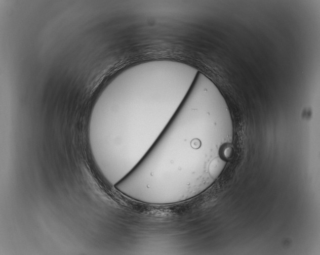 X0000115650642200911241735