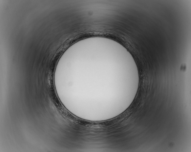 X0000115650643200911241735