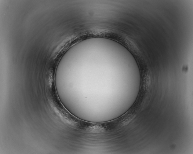 X0000115650644200911241735