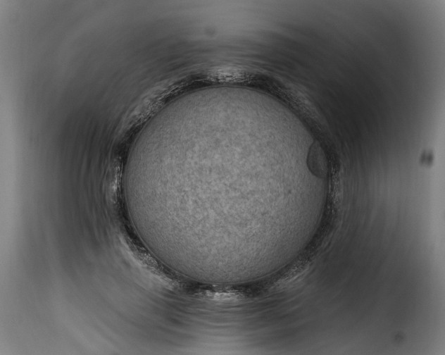 X0000115650645200911241735