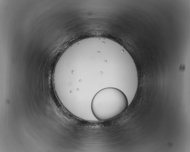 X0000115650646200911241735