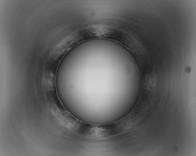 X0000115650650200911241735