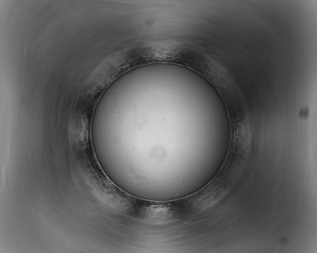 X0000115650651200911241735