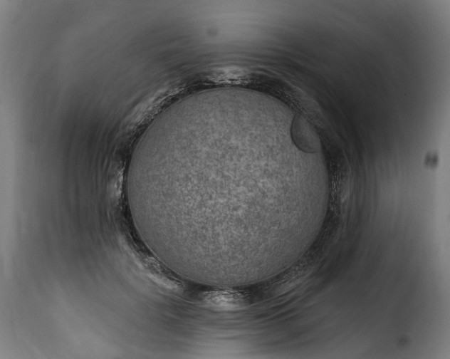 X0000115650652200911241735