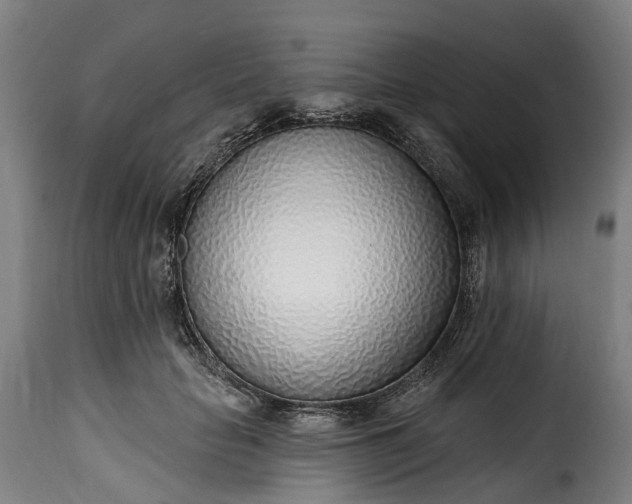 X0000115650653200911241735