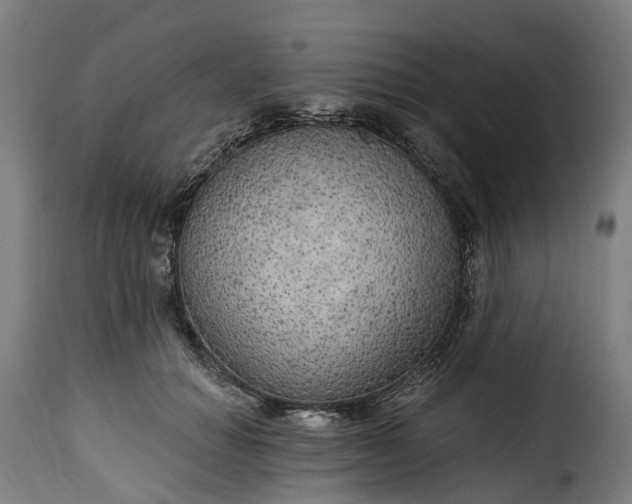 X0000115650654200911241735