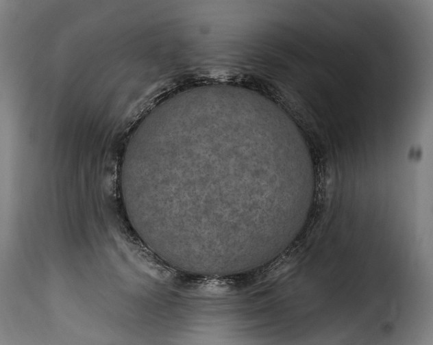 X0000115650656200911241735