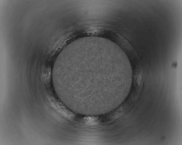 X0000115650660200911241735