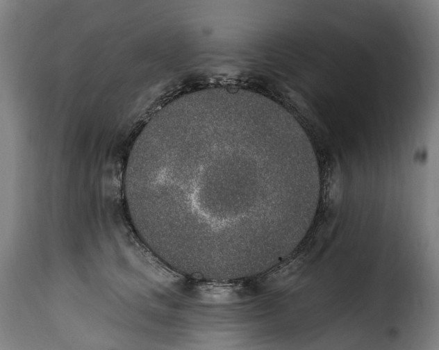 X0000115650661200911241735