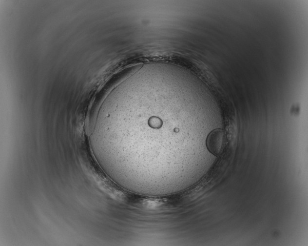 X0000115650662200911241735