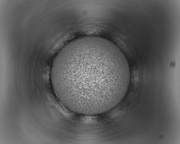 X0000115650664200911241735