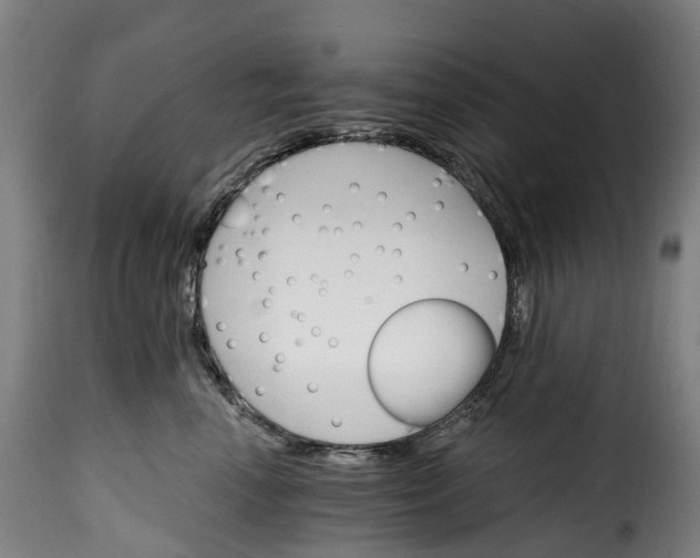 X0000115650666200911241735