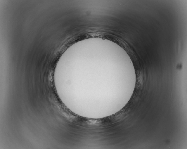 X0000115650667200911241735