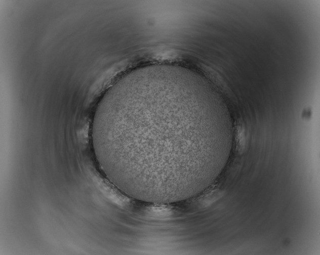 X0000115650668200911241735