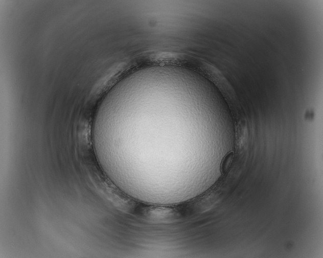 X0000115650669200911241735