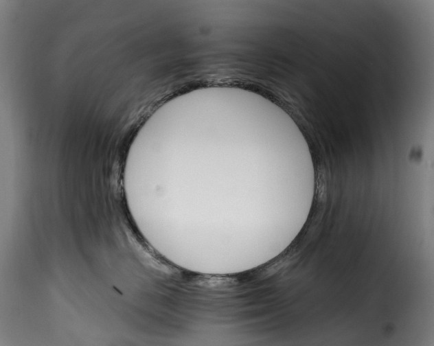 X0000115650670200911241735