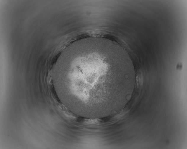 X0000115650671200911241735