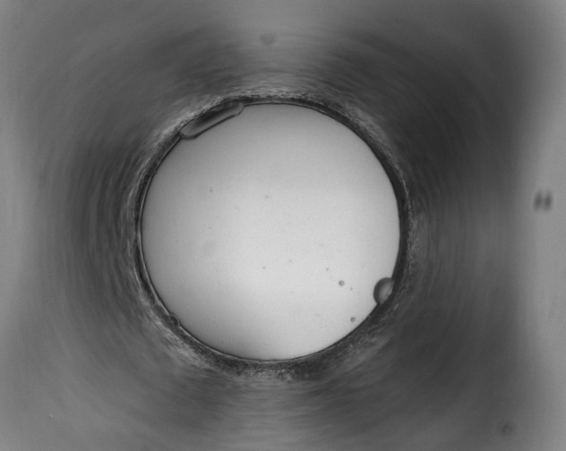 X0000115650673200911241735