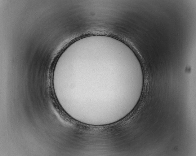 X0000115650674200911241734