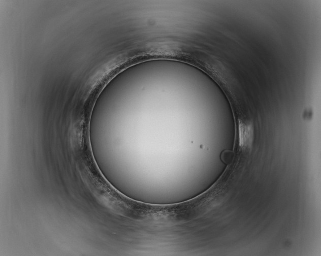 X0000115650675200911241734