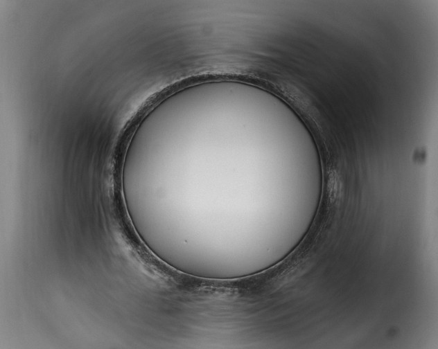 X0000115650676200911241734