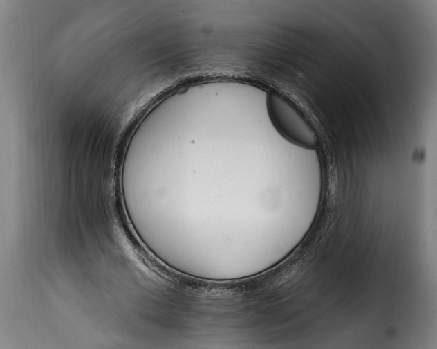 X0000115650677200911241734